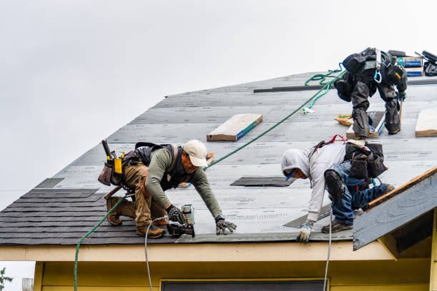 Professional Roofing technician working in Herman, MN